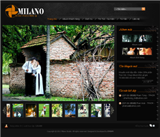 Thiet Ke Website Studio Ao Cuoi Milano