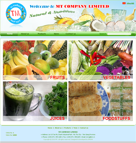 Thiet Ke Website Cong Ty MT Co Ltd