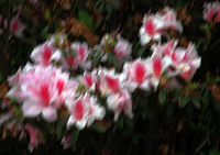 Robust Motion Deblur 20 Lam Ro Anh Bi Nhoe Hoan Toan Tu Dong Robust Motion Deblur 20 Lam Ro Anh Bi Nhoe Hoan Toan Tu Dong