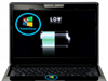 Meo Hay Tang Tuoi Tho Cho Loa Laptop