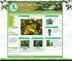 Thiet Ke Website Cong Ty TNHH Hoa Canh Minh Tan