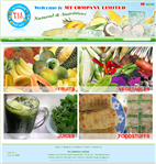 Thiet Ke Website Cong Ty MT Co Ltd