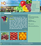 Thiet Ke Website Cong Ty TNHH TMDV Nam Chan