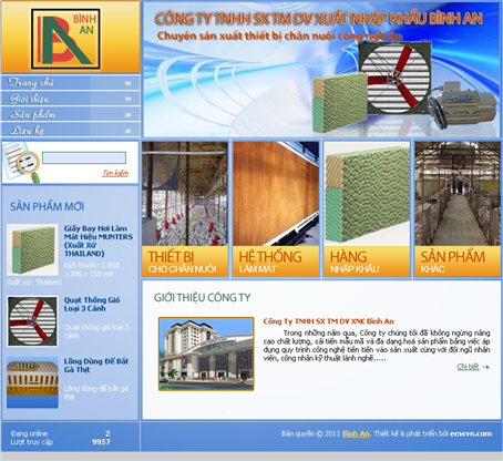 Thiet Ke Website Cong Ty TNHH SX TMDV XNKBinh An